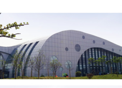巴南会议中心外景网架工程